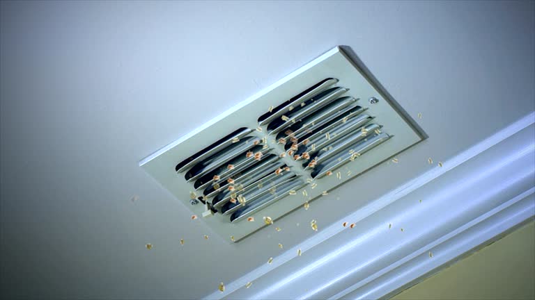 Best Air Vent Cleaning Services  in Krum, TX